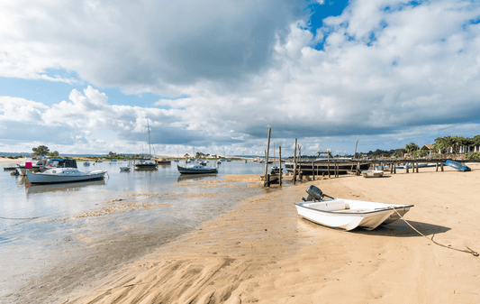 Les Poissons Atlantiques : Des Délices Cachés Sous les Flots 🌊