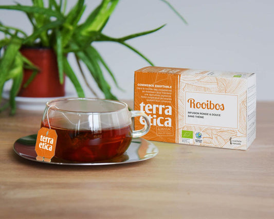 Le Rooibos : une alternative au thé, pleine de bienfaits 🍵✨ - DBDLM
